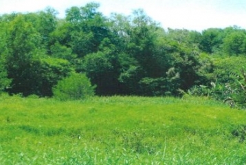 Vacant land for agricultural