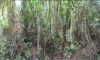 Picture2.jpg