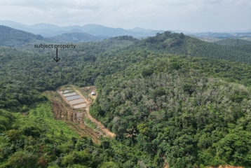 Vacant agricultural land