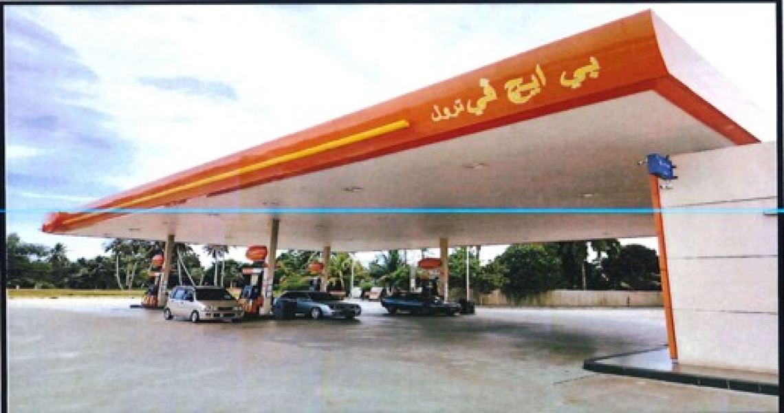 Picture6.jpg
