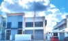 Picture1.jpg