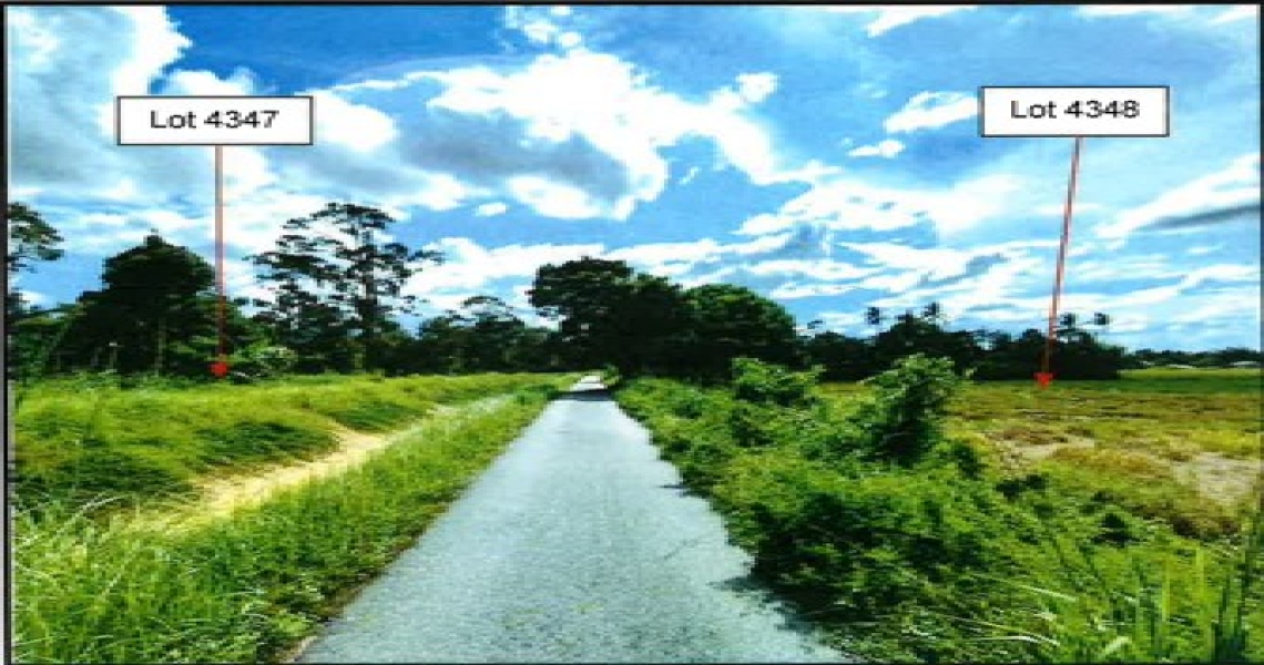 Picture4.jpg