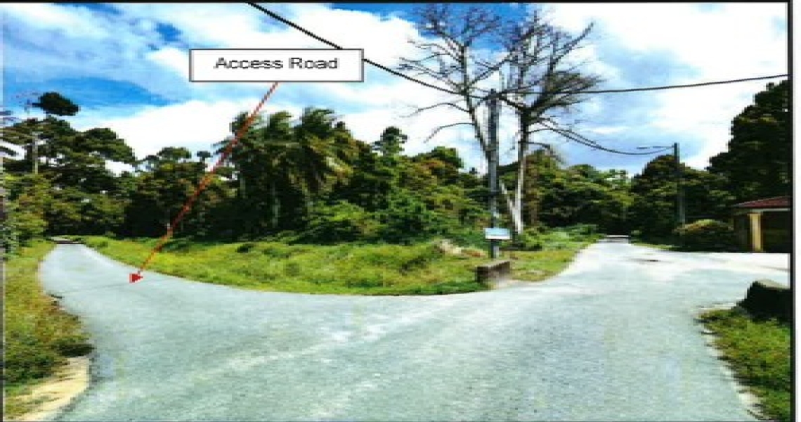 Picture5.jpg
