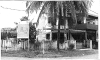Picture3.jpg