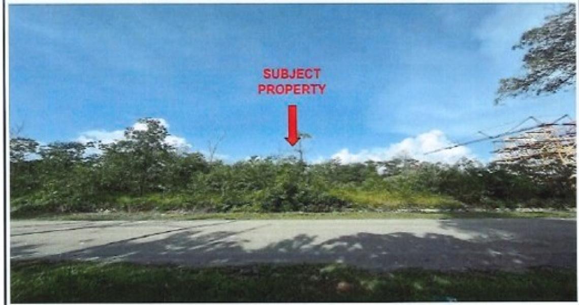 Picture1.jpg