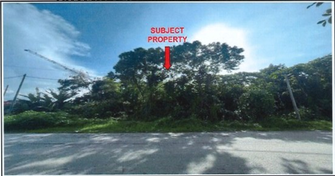 Picture1.jpg