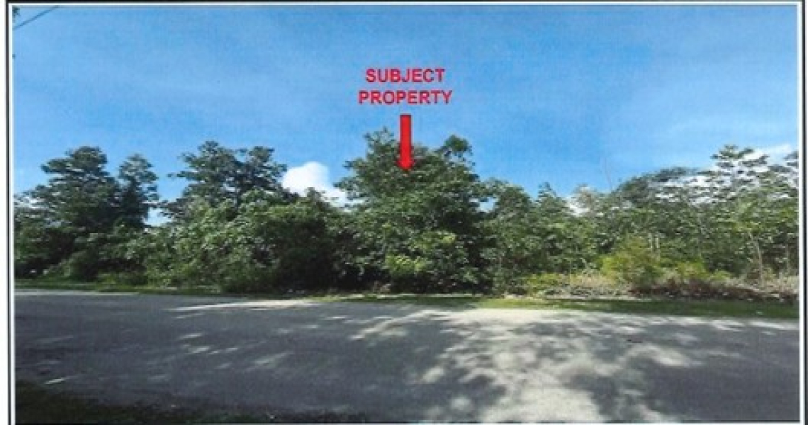 Picture1.jpg