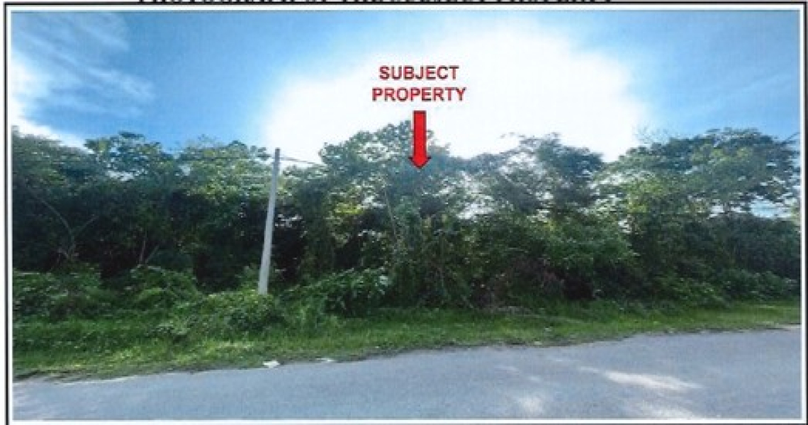 Picture1.jpg
