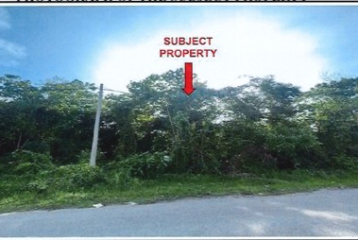 A VACANT INDUSTRIAL LAND (LOT 8)