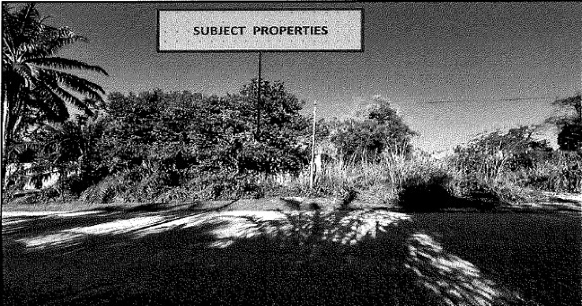Picture3.jpg